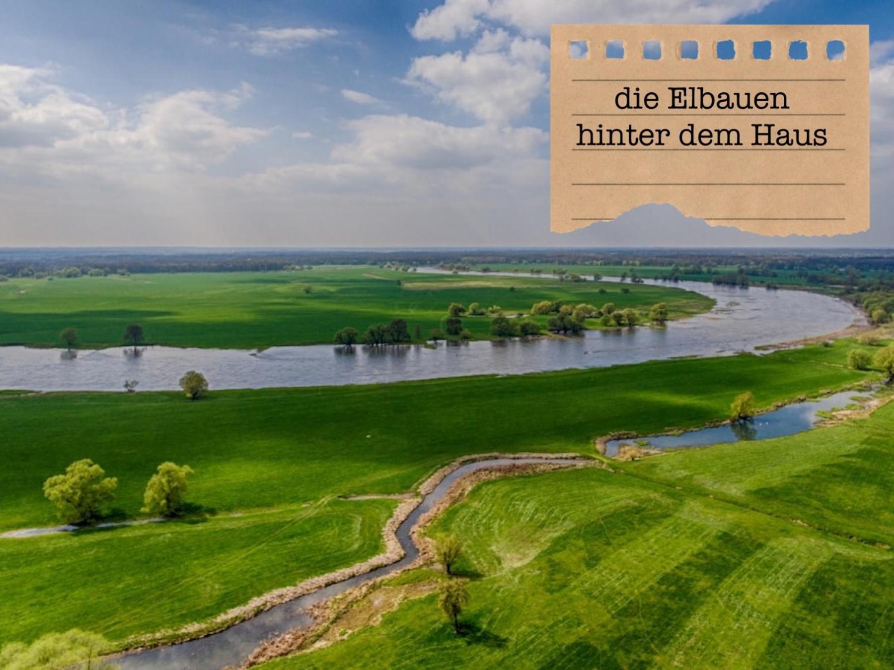 Alte Schule Wittenberg, 3 Ferienwohnungen Fuer Bis Zu 12 Personen, An Der Elbe, Mit Garten Eksteriør billede