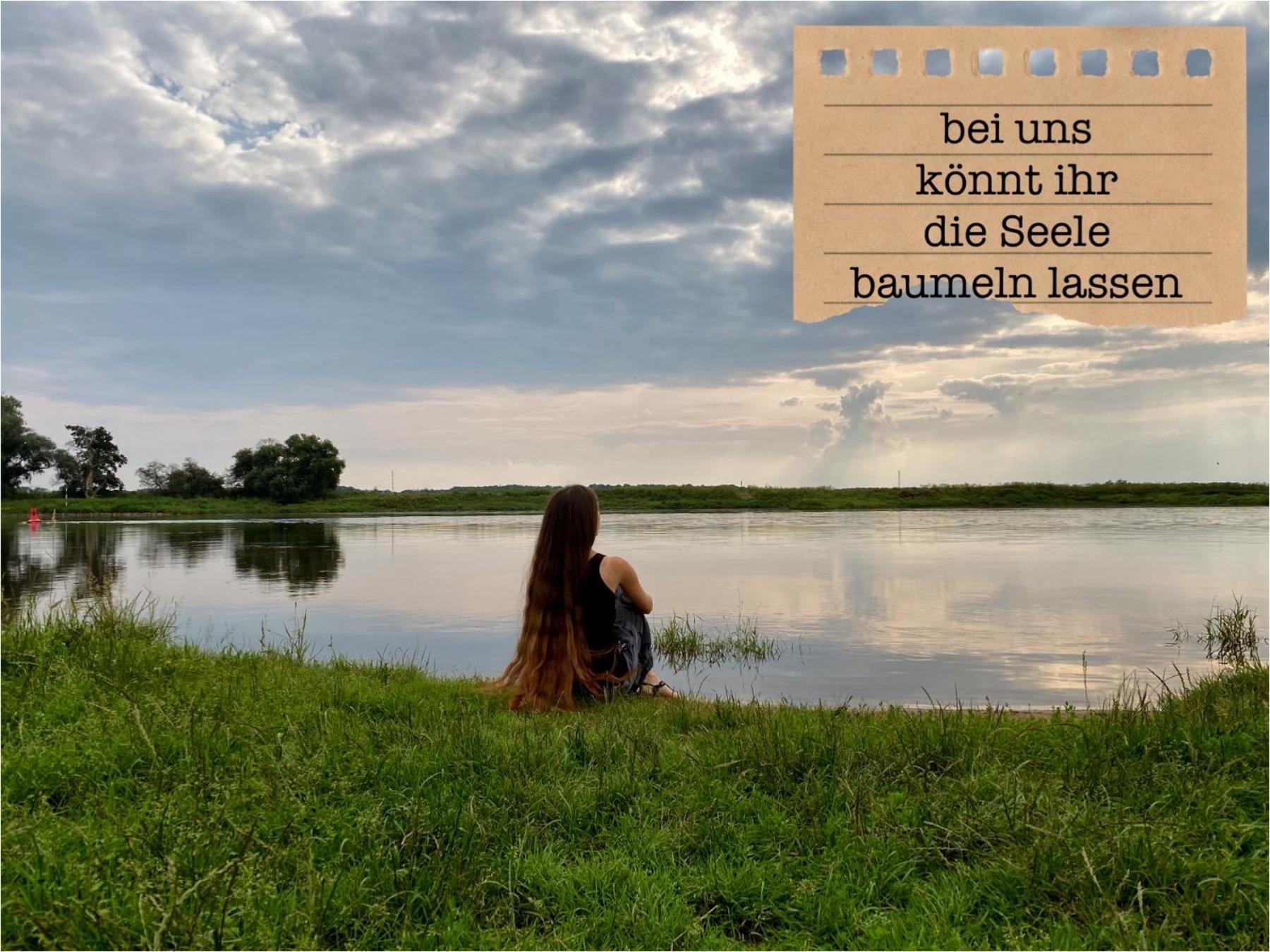 Alte Schule Wittenberg, 3 Ferienwohnungen Fuer Bis Zu 12 Personen, An Der Elbe, Mit Garten Eksteriør billede