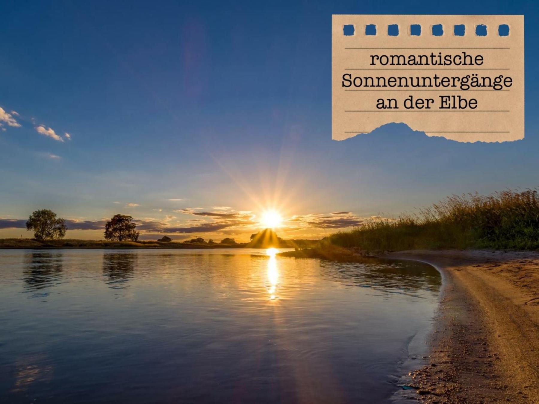 Alte Schule Wittenberg, 3 Ferienwohnungen Fuer Bis Zu 12 Personen, An Der Elbe, Mit Garten Eksteriør billede